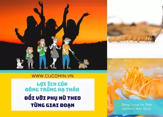 Công dụng của đông trùng hạ thảo đối với phụ nữ theo từng giai đoạn