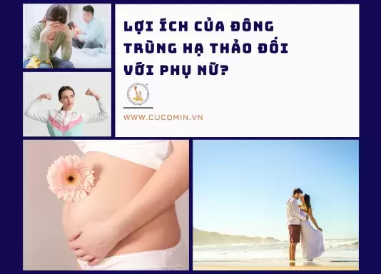 Lợi ích của đông trùng hạ thảo đối với phụ nữ?