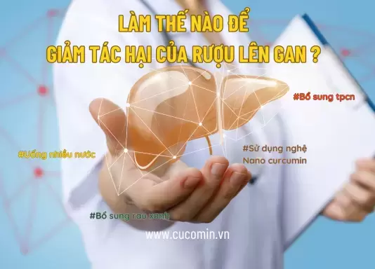 Làm thế nào để giảm tác hại của rượu lên gan hiệu quả?