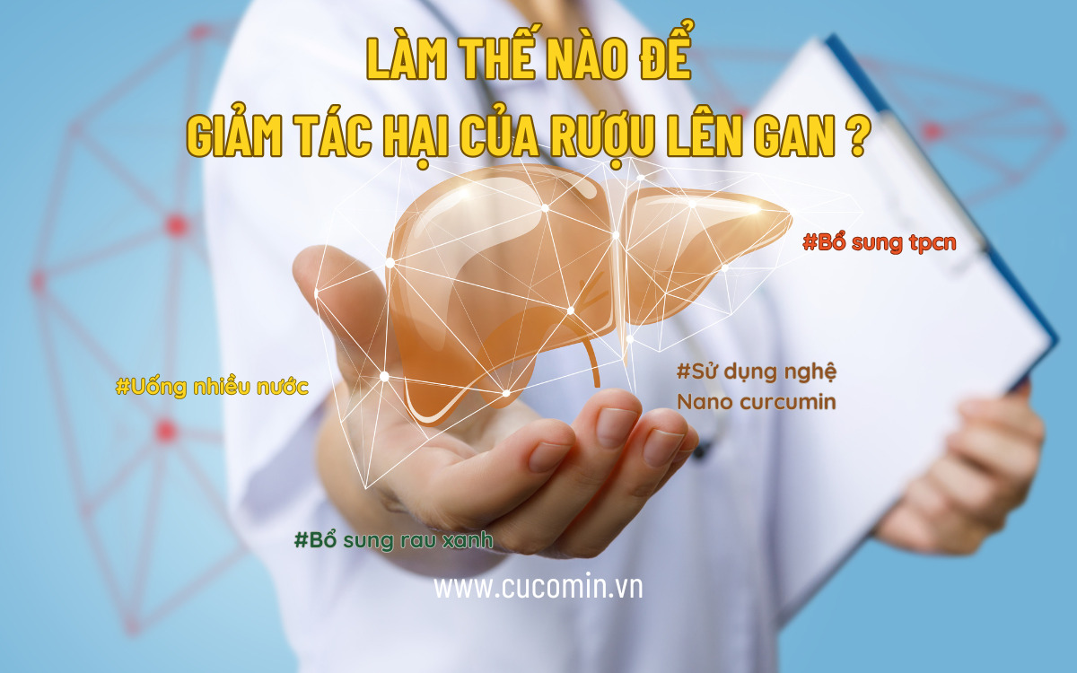 Làm thế nào để giảm tác hại của rượu lên gan hiệu quả?